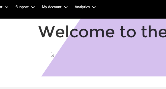 How to raise a support ticket